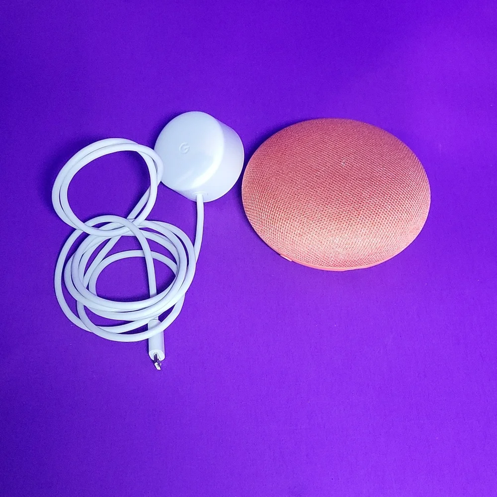 Google Home Mini 'Coral!